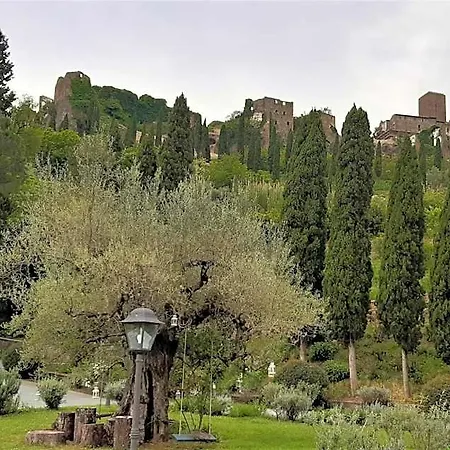 Ξενοδοχείο L'olivo Country &