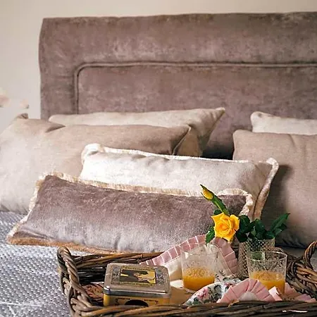 L'olivo Country & * Giove